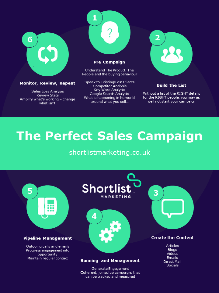 The Perfect Sales Campaign - Infographic 
